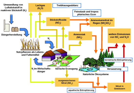 Stickstoffflüsse in der Landwirtschaft